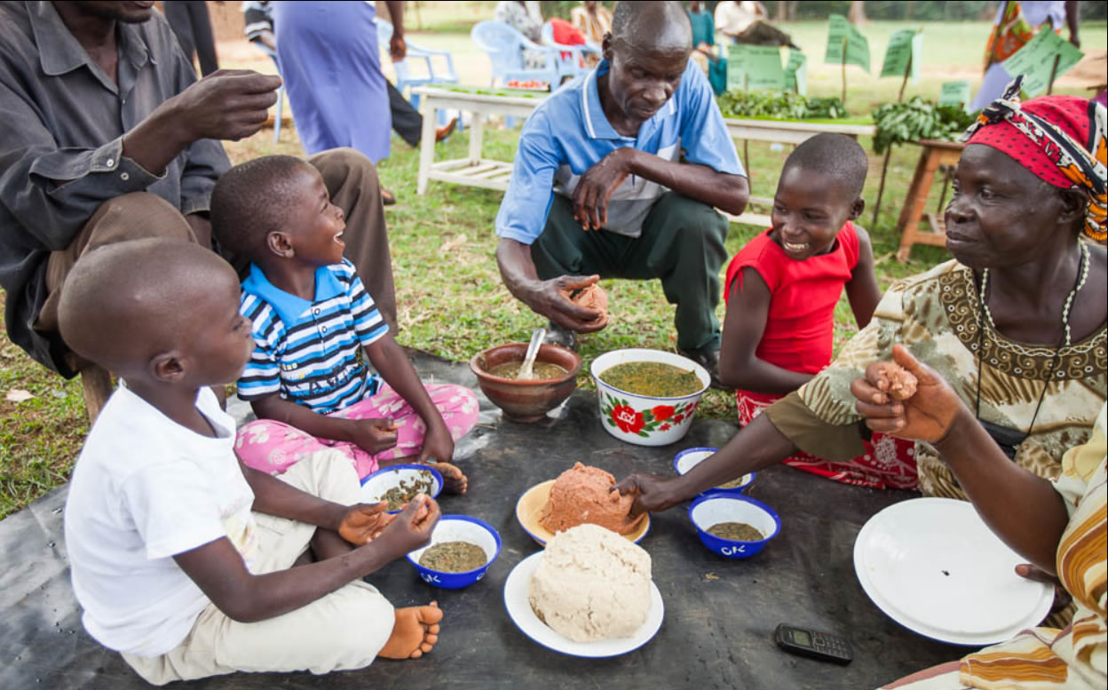 Provide A Meal for a Child 